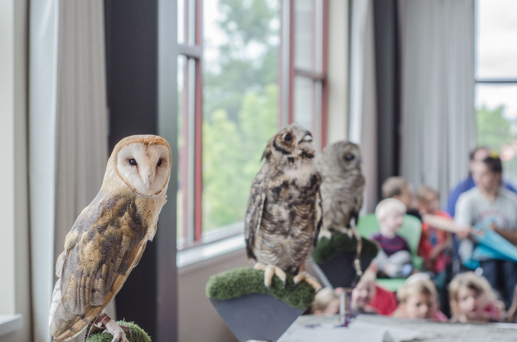 190711.living.owlstory.er1.jpg
